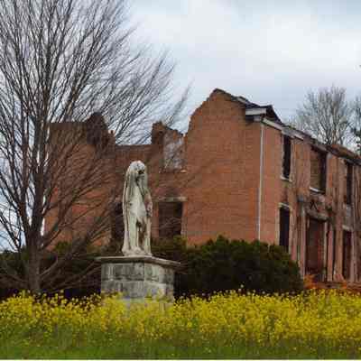Osburn-Shutt house in ruins