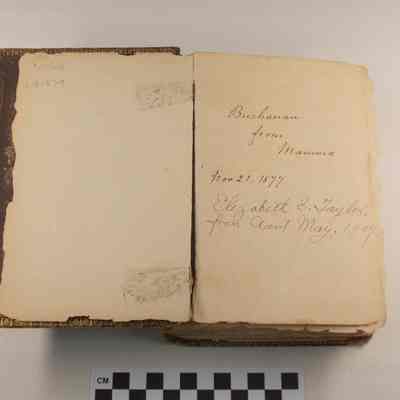 James Buchanan Johnston's Bible