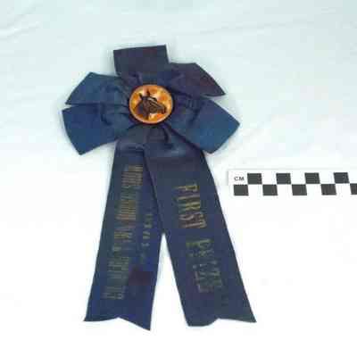 Charles Town Horse Show ribbons