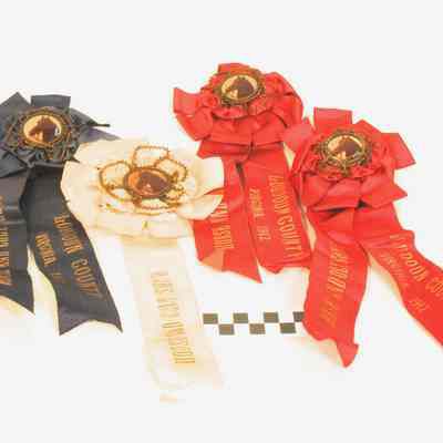Four horse show ribbons