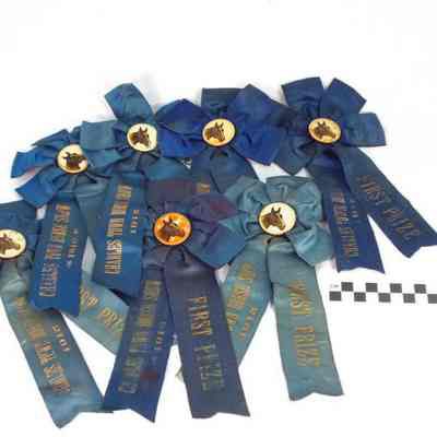 Charles Town Horse Show ribbons