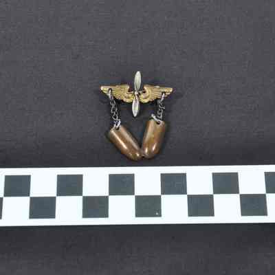 Insignia for (possibly) Army Air Corps