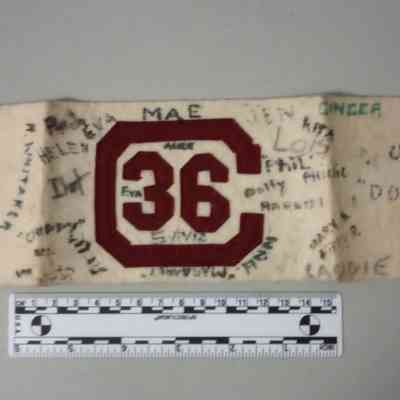 Arm Band