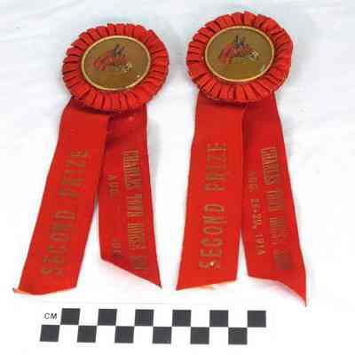 Charles Town Horse Show ribbons