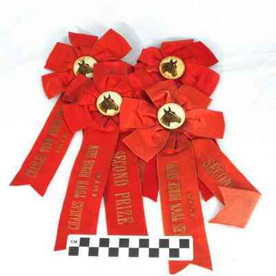 Charles Town Horse Show ribbons