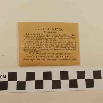 Packet of collard seeds