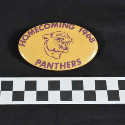 Oval metal pin