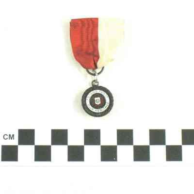 UDC award medal