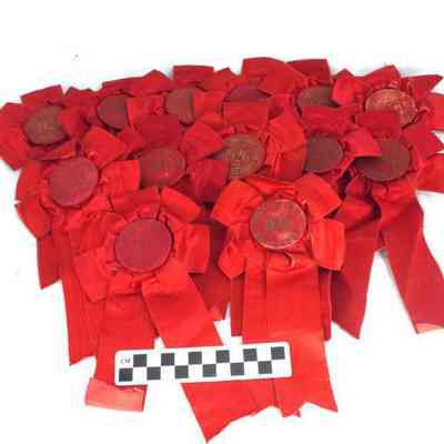 Charles Town Horse Show ribbons