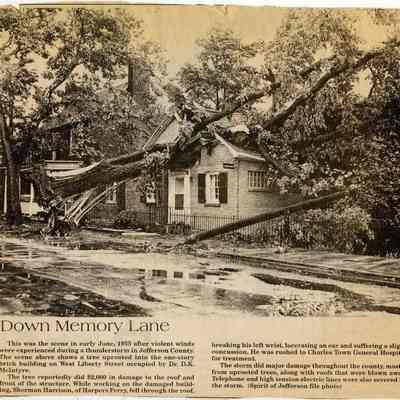 Tree uprooted into building along West Libery Street, CT, 1955