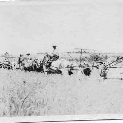 Horace Gardner & Jack Wilt harvesting wheat