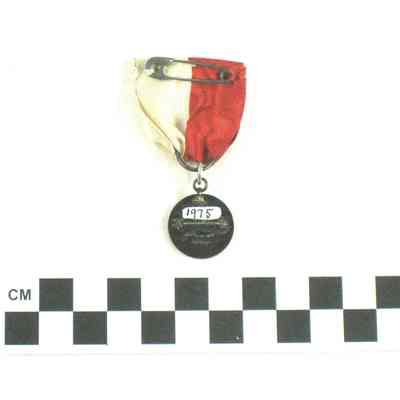 UDC award medal