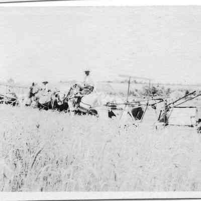 harvesting wheat on Kanode farm - 1918 or 1919