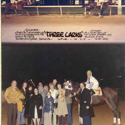 Three Larks at Shenandoah Downs