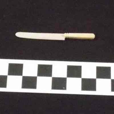 Dinner knife made from bone