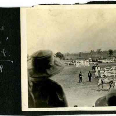 Horses and riders inside field, "Trying to decide between Alarm and..."
