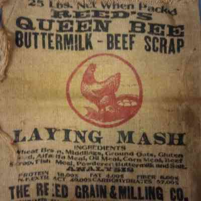 Laying Mash Sack