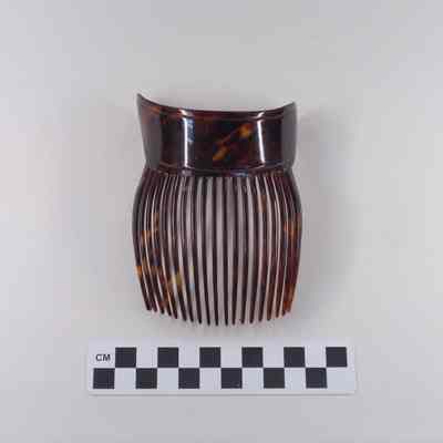 French tortoise shell hair comb