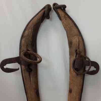 harness collar