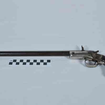 Long Barrelled Pistol