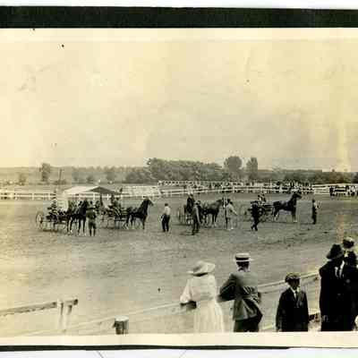 Horses with carriages inside field