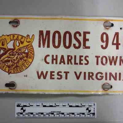 License Plate