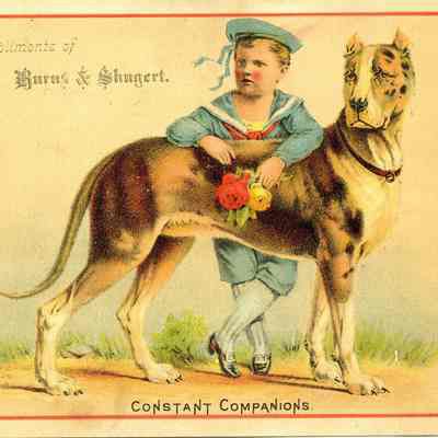 Burns & Shugert advertising card