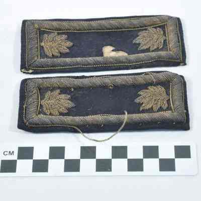 Two shoulder insignia for rank of Lieutenant Colonel