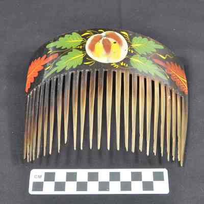 Tortoise shell ornamental comb