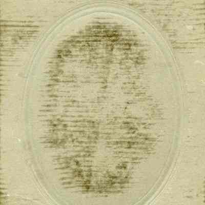 Back of photograph (IMG3530002)