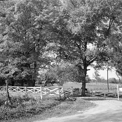 Stewart farm entrance lane