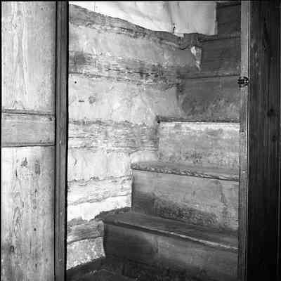 Head Spring Farm