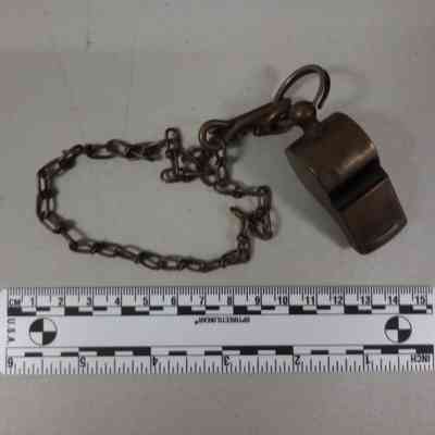 Whistle with chain