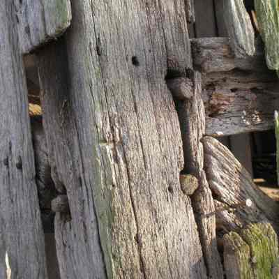 Corn crib detail (IMG3937016)