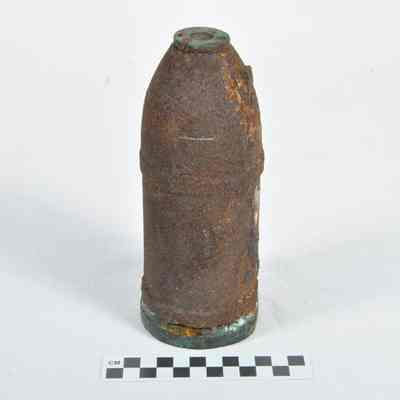 3 inch Reed shell