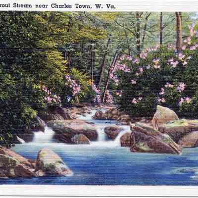 Beautiful Trout Stream
