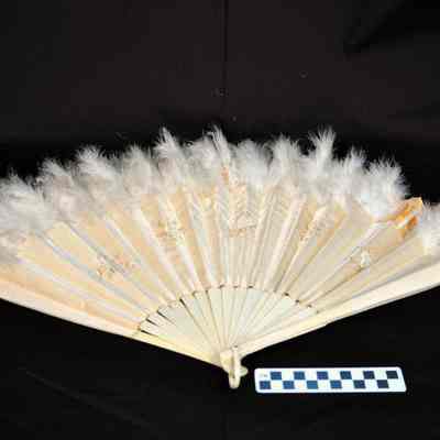 Feather fan
