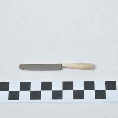 Bone-handled dinner knife