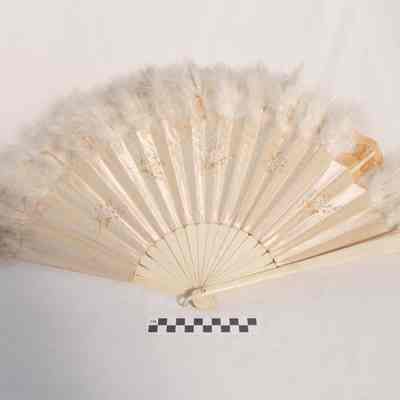 Feather fan