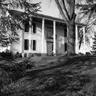 Walnut Hill