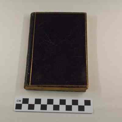 Handwritten, personal diary of Harriet Lane Johnston