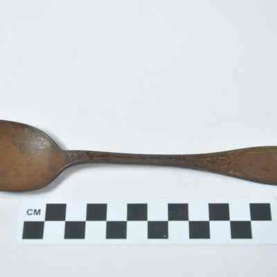 Tablespoon excavated from Cameron Depot Battlefield