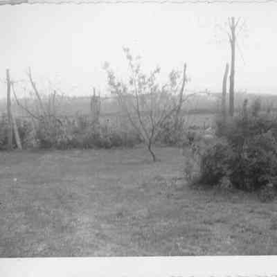backyard at James Milton farm - Thanksgiving Day, 1951