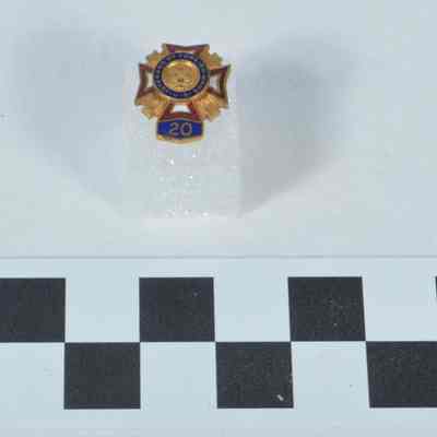 Small, gold-color lapel pin with red, white, and blue enameling