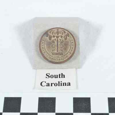 South Carolina button