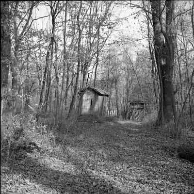 Sunnyside ruins - tool shed in the trees
