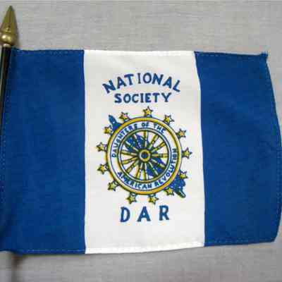 Blue and white miniature DAR flag