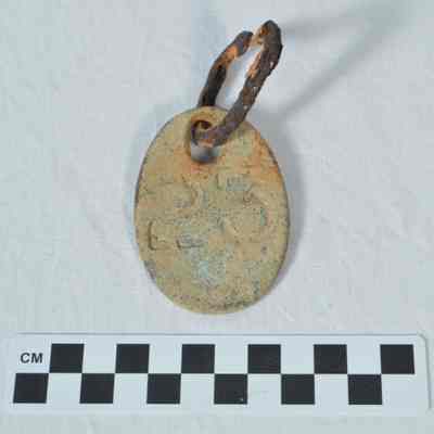 Animal-chain tag