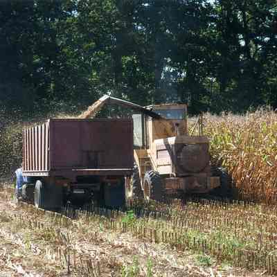 Chopping corn for ensilage at Blue Farm