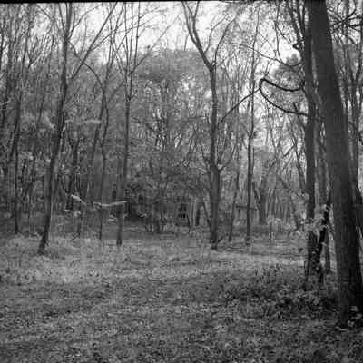 Sunnyside ruins - old house